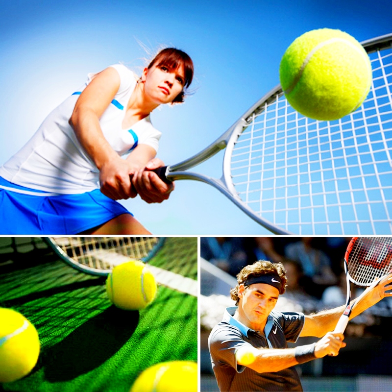 Специфика ставок в теннисе и их разновидности