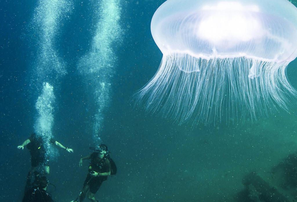 Гигансткая ядовитая медуза