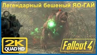 Fallout4 Легендарный бешеный Яо гай